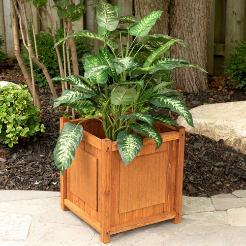 Leisure Season Decorative Planters Cypress Planter Box Wayfair